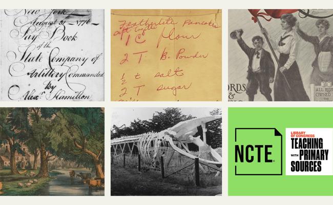 Primary Sources